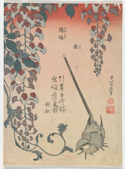 Vagga och blåregn, Edo-perioden, 1834 (färgsnitt) av Katsushika Hokusai