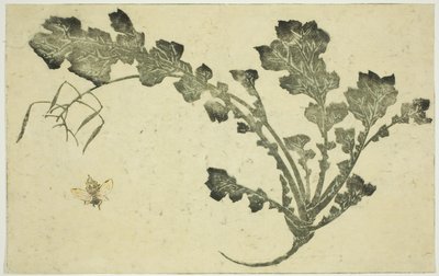 Geting- och kålrotsstjälk, från "The Picture Book of Realistic Paintings of Hokusai (Hokusai shashin gafu)" av Katsushika Hokusai