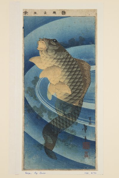 Karp (träblock i färg) av Katsushika II (fl.1820 50) Taito