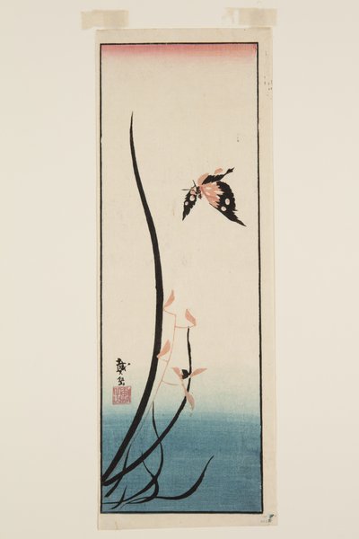 Fjäril och gräs (trätryck i färg) av Katsushika II (fl.1820 50) Taito