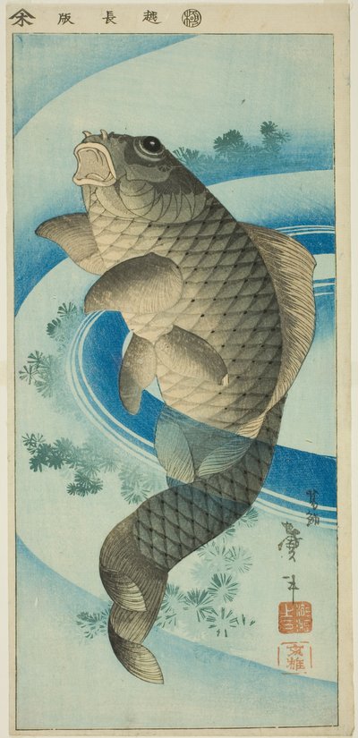 Karp av Katsushika Taito II