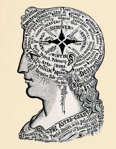 Eine Karte des menschlichen Kopfes und der Schultern. 19. Jahrhundert von 