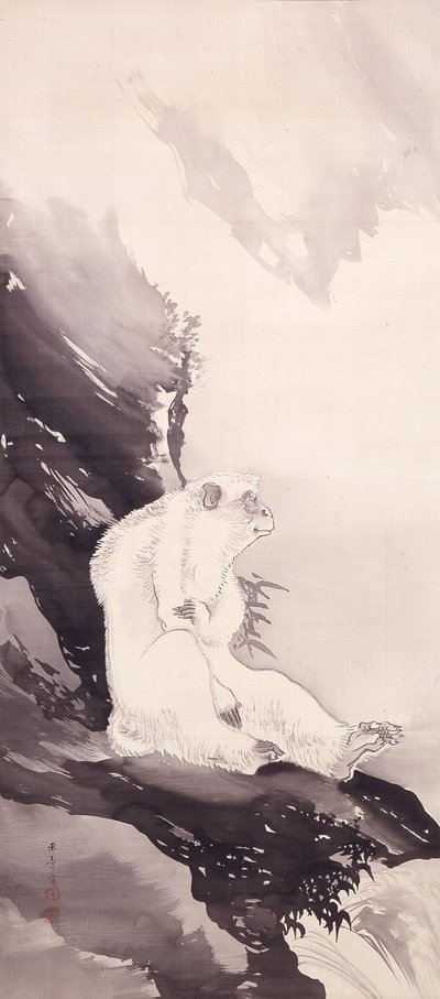 White Monkey (bläck på siden) av Kawabata Gyokushō