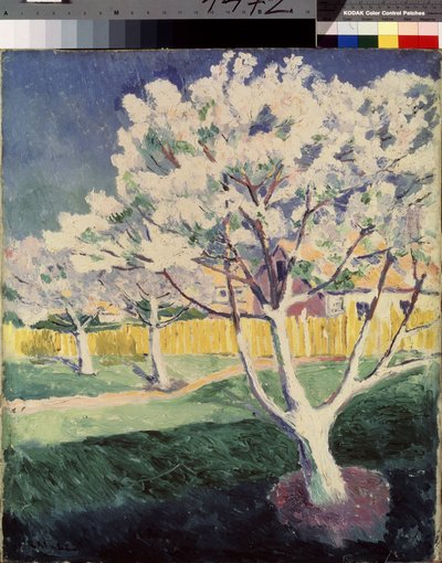 Sommarlandskap. Målning av Kasimir Severinovich Malevich (Malevich, Malevic) (1878-1935), olja på duk av Kazimir Severinovich Malevich