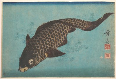 Koi av Keisai Eisen