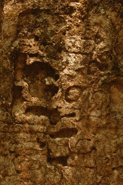 7319 Oxpemul; Maya; Antika kulturer; Maya; Mexiko; Maya Biosphere Reserve; Ivan Spr..., 2004 (foto) av Kenneth Garrett
