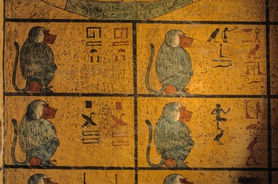 Babianer, väggmålning i Tutankhamuns grav; KV52, Konungarnas dal, Thebe..., 2003 (foto) av Kenneth Garrett