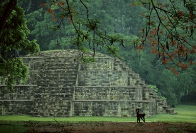Honduras; Copan; Maya av Kenneth Garrett