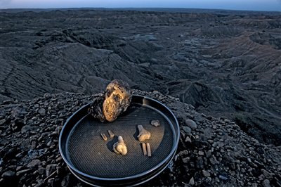 Lucys barn, Zeray Alemseged, Australopithicus Afarensis, Etiopien, Paleontolog, ..., 2006 (foto) av Kenneth Garrett