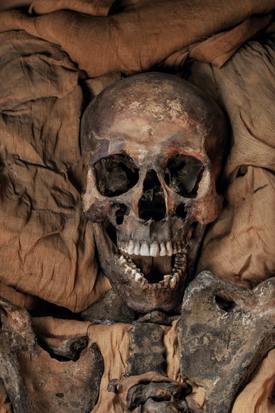 Mumie av kung Tuts far Akhenaton av Kenneth Garrett