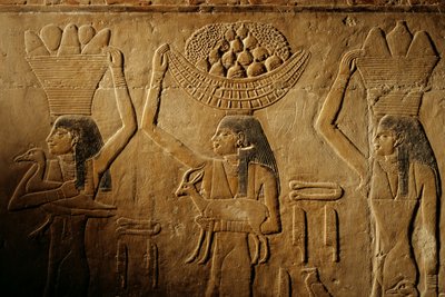 Kvinnor bär bröd, fågel, get och produkter, Tiyes grav, Egypten; Gamla riket; Saqqa... av Kenneth Garrett