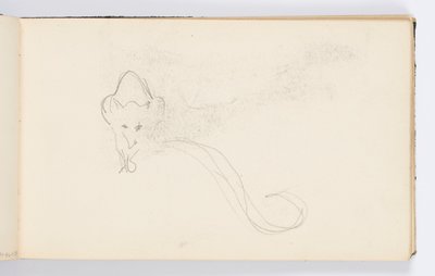 Skissbokssida: Sketch of a Genet av Kenyon Cox