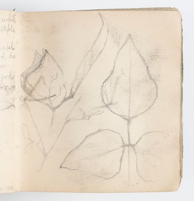 Skissbokssida: Study of Leaves av Kenyon Cox