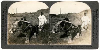 Jordbruk nära Seoul, Sydkorea, 1900-talet. av Keystone View Company