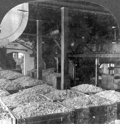 Att göra papper av trasor, Holyoke, Massachusetts, USA, 1900-talet av Keystone View Company