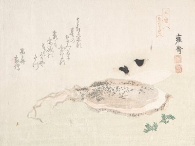 Bläckfisk, tidigt 1800-tal. av Kikuchi Yosai