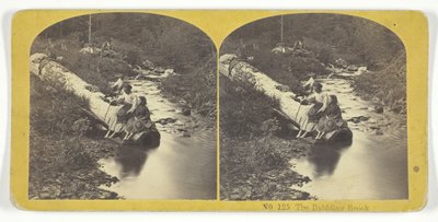 The Babbling Brook, 185575. Skapare: Kilburn Brothers, BW Kilburn. av Kilburn Brothers, BW Kilburn