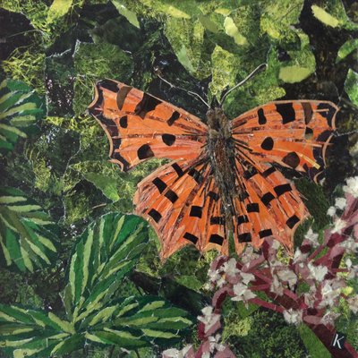 Fladdrar - kommafjäril på Japonica av Kirstie Adamson