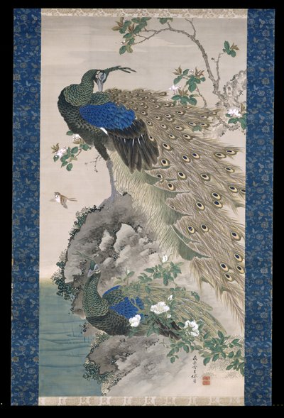 Cherry-Apple And Peacocks On Rock (bläck och färger på siden) av Kishi Ganku