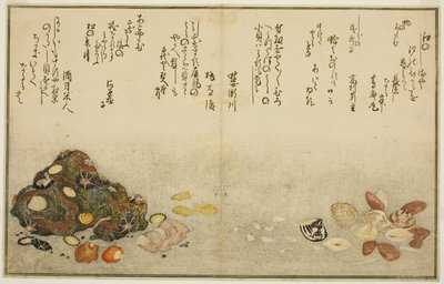 Fötter utanför, musslor, kogai, sparvar utanför, Akoya utanför, plan d Katashi utanför, från tee st latte )” av Kitagawa Utamaro