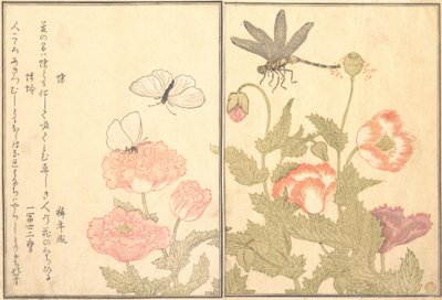 Skrivet av Hiterfly, Dragonfly Haze or Dragonfly, 1788. av Kitagawa Utamaro