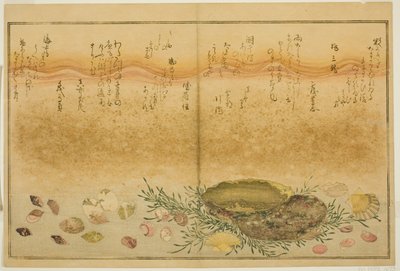 Chidori - utanför, smärta - utanför, abalone, rör sig - utanför, musslor - utanför, det finns en idé för Allah, från latte bracts of av Kitagawa Utamaro