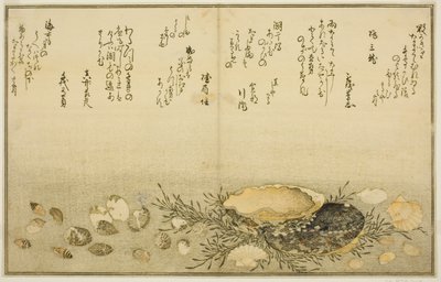 Chidori - utanför, smärta - utanför, abalone, rör sig - utanför, musslor - utanför, det finns en idé för Allah, från latte bracts of av Kitagawa Utamaro