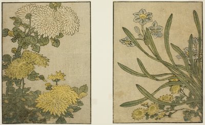 Chrysanthemum and Narcissus, från den illustrerade boken "Picture Book: Flowers of the Four Seasons (Ehon shiki no hana)," vol. 2 av Kitagawa Utamaro