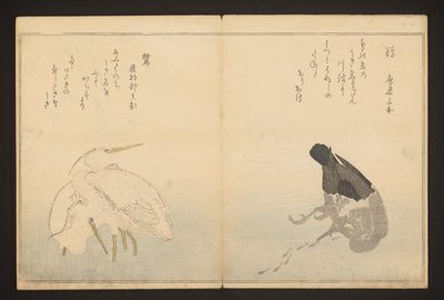 Skarv och häger av Kitagawa Utamaro