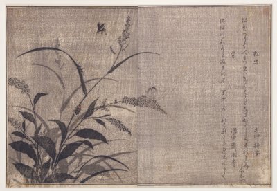Cricket och eldflugor, 1788 (träblock) av Kitagawa Utamaro