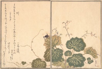 Daggmask Mimizu, Cricket Korogi..., 1788. av Kitagawa Utamaro