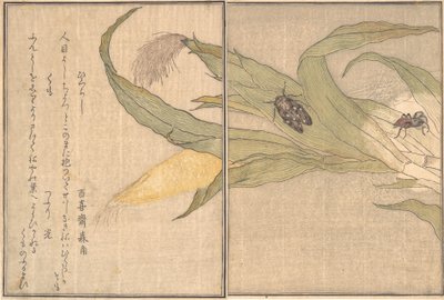 Eve människor Tandvård, Higurashi, S dagar, Moln. . . , 1788. av Kitagawa Utamaro