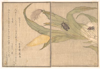 Kvällscikada, Higurashi; spindel, Kumo, ur Bildboken om krypande varelser (Ehon mushi erami) av Kitagawa Utamaro