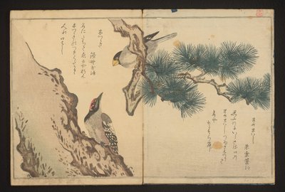 Grosneak och hackspett av Kitagawa Utamaro