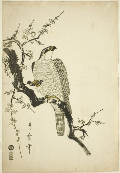 Hök på en plommongren av Kitagawa Utamaro