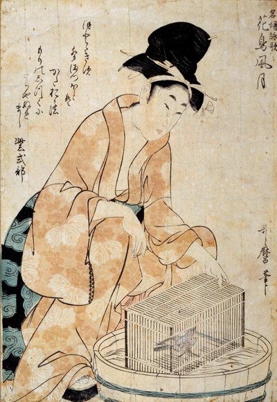 Japansk konst: kvinna som sitter framför en fågelbur. Ritning av Outamaro (Utamaro) Kitagawa (1753-1806) Rennes från 1700-talet, Musee des Beaux Arts av Kitagawa Utamaro
