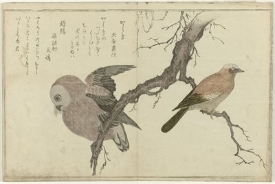 Jay och uggla av Kitagawa Utamaro
