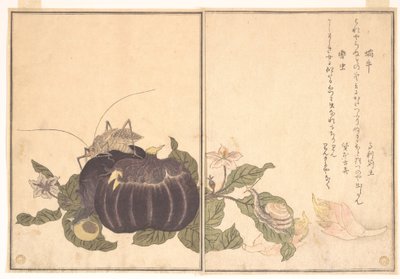 Landsnäcka (Katatsumuri); jättestor vårtbitare (Kutsuwamushi), ur bilderboken om krypande varelser (Ehon mushi erami) av Kitagawa Utamaro