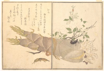 Mullvadssyrsa (Kera); tvestjärt (Hasami-mushi), ur Bildbok om krypande varelser (Ehon mushi erami) av Kitagawa Utamaro