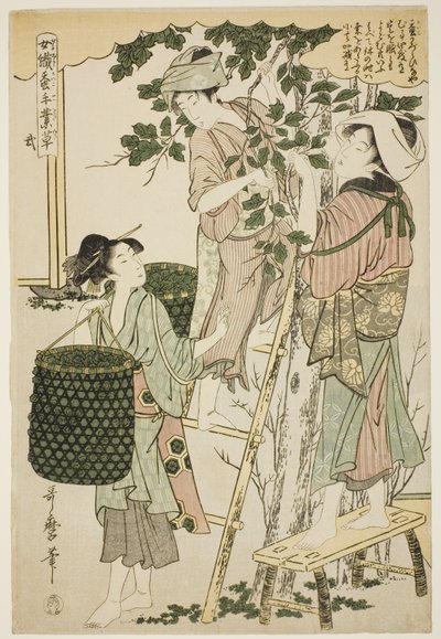 Nr 2 (ni), från serien "Women Engaged in the Sericulture Industry (Joshoku kaiko tewaza-gusa)" av Kitagawa Utamaro