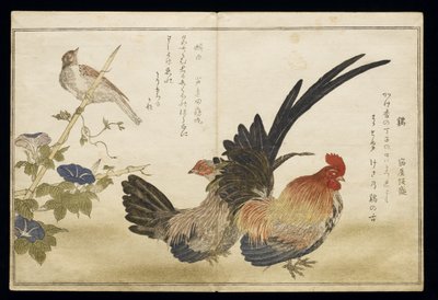P.332-1946 Vol.1 f.8 Cockerel and Hen till höger med en Bunting till vänster, från ett album 