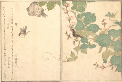 Paper Wasp Hachi, Hairy Caterpillar Kemushi..., 1788. av Kitagawa Utamaro