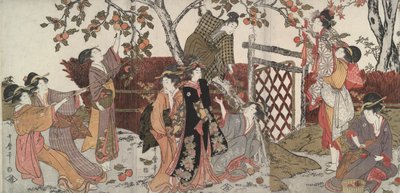 Persimmonsamlare av Kitagawa Utamaro