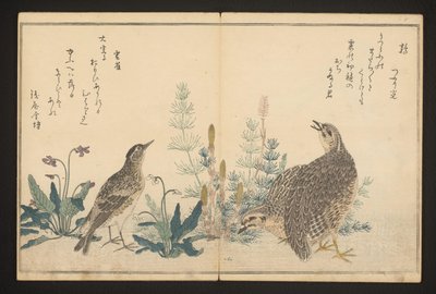 Vaktel och skylärka av Kitagawa Utamaro