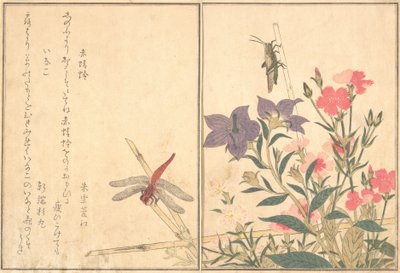 Red Dragonfly Akatonbo, Locust Inago..., 1788. av Kitagawa Utamaro