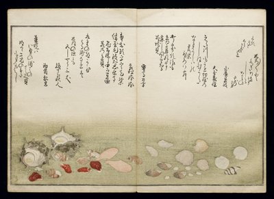 Shiohi no tsuto (Gåvor från Ebb Tide), känd som Shell Book, 1789 (träblock i färg) av Kitagawa Utamaro