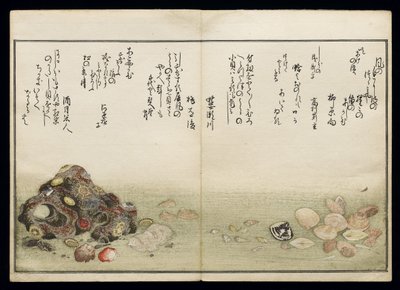 Shiohi no tsuto (Gåvor från Ebb Tide), känd som Shell Book, 1789 (träblock i färg) av Kitagawa Utamaro