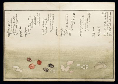 Shiohi no tsuto (Gåvor från Ebb Tide), känd som Shell Book, 1789 (träblock i färg) av Kitagawa Utamaro