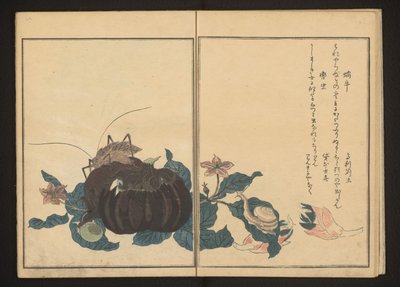 Snigel och bullrig cricket på aubergine av Kitagawa Utamaro