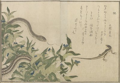 Snake and Lizard, 1788 (träblock i färg) av Kitagawa Utamaro